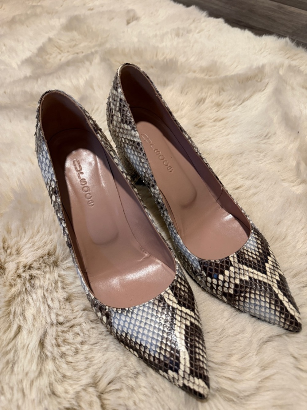 Snake-Print Pointed Pumps in Black and Cream